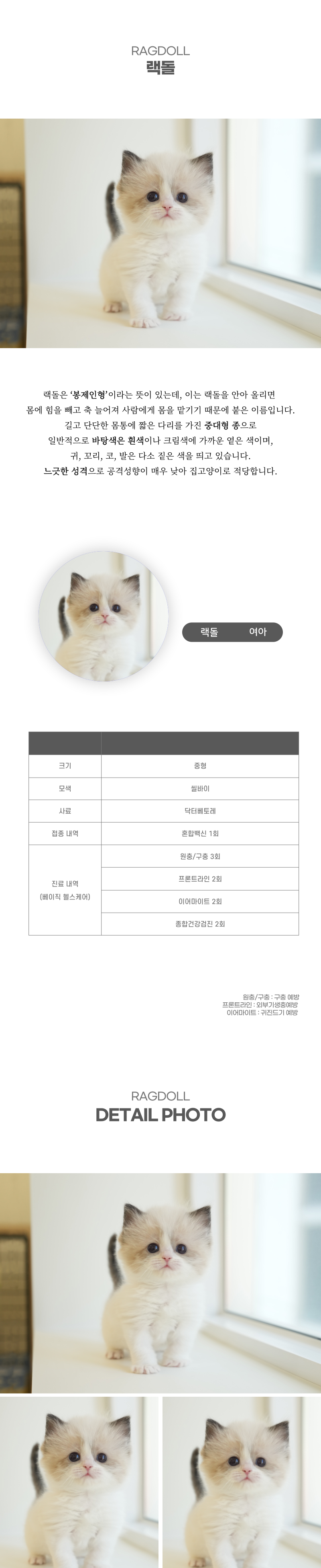 랙돌_상세이미지_2